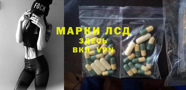 хмурый Зеленокумск