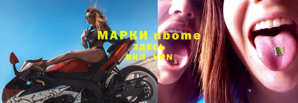 шишки Заволжье