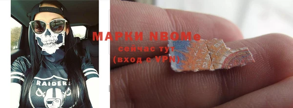 шишки Заволжье