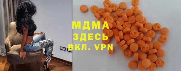 шишки Заволжье