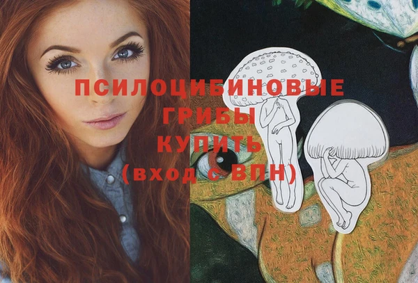 шишки Заволжье