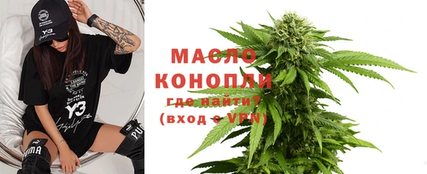 твердый Заводоуковск