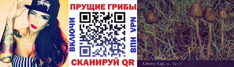 Галлюциногенные грибы мицелий  Красногорск 